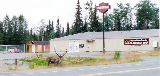 Kenai Location